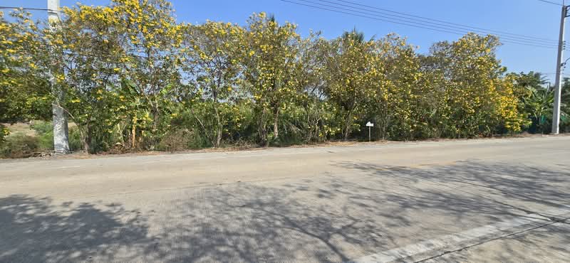 Vacant Land Lat Lum Kaeo Pathum Thani, Pathum Thani, เลียบคลองลากค้อน, Na-Mai, Lat Lum Kaeo, Pathum Thani, , 38,800 sqm, Land For Sale, by Surasak Satho, 500205901 - DDproperty.com