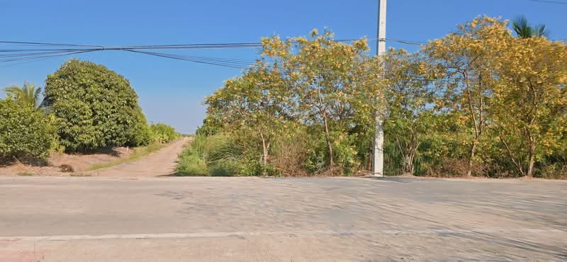 ที่ดินติดถนนเลียบคลองลากค้อน ต.หน้าไม้ อ.ลาดหลุมแก้ว จ.ปทุมธานี, ปทุมธานี, เลียบคลองลากค้อน, หน้าไม้, ลาดหลุมแก้ว, ปทุมธานี, 38,800 ตร.ม., ที่ดิน ขาย, โดย สุรศักดิ์ สาโท, 500205901 - DDproperty.com