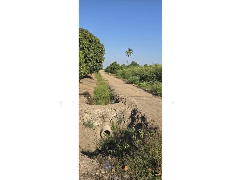 ที่ดินติดถนนเลียบคลองลากค้อน ต.หน้าไม้ อ.ลาดหลุมแก้ว จ.ปทุมธานี, ปทุมธานี, เลียบคลองลากค้อน, หน้าไม้, ลาดหลุมแก้ว, ปทุมธานี, 38,800 ตร.ม., ที่ดิน ขาย, โดย สุรศักดิ์ สาโท, 500205901 - DDproperty.com