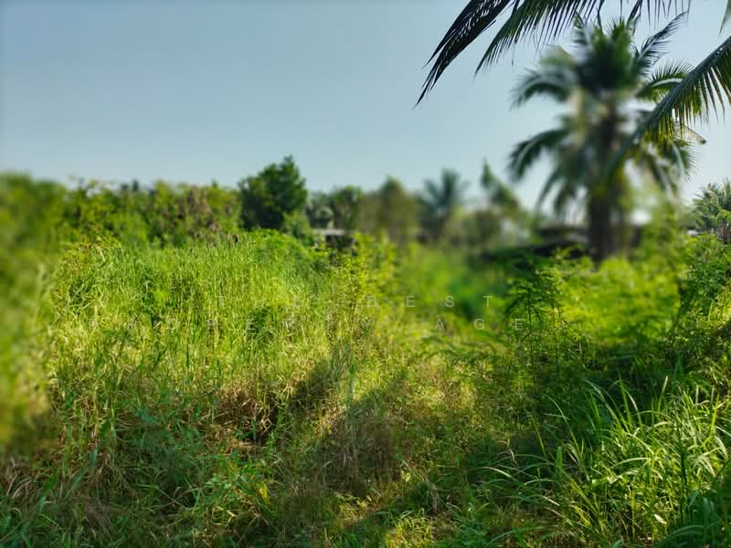 For Sale - บ้านเดี่ยวพร้อมที่ดินอัมพวา สมุทรสงคราม, Samut Songkhram