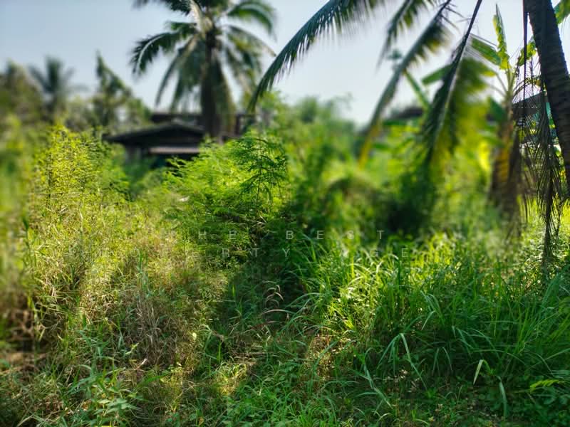 For Sale - บ้านเดี่ยวพร้อมที่ดินอัมพวา สมุทรสงคราม, Samut Songkhram