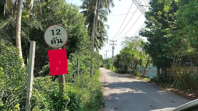 For Sale - บ้านเดี่ยวพร้อมที่ดินอัมพวา สมุทรสงคราม, Samut Songkhram