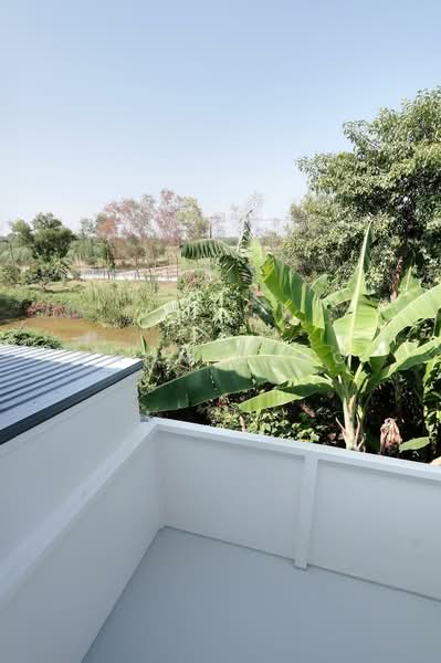 BR @Arena, Bangkok, ลำไทร, Khok Faed, Nong Chok, Bangkok, 2 Bedrooms, 120 sqm, Townhouse For Sale, by Khun Neng, 500206053 - หลังบ้าน - DDproperty.com