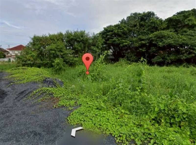 ที่ดินเปล่า 80 ตร.ว. ที่ดิน ซอยพัฒนาชุมชน10 บางพลี สมุทรปราการ, สมุทรปราการ, ถนนศรีนครินทร์, บางแก้ว, บางพลี, สมุทรปราการ, 320 ตร.ม., ที่ดิน ขาย, โดย คุณ ชุติกาญจน์ กล่ำแสง (เชอรี่), 500206090 - DDproperty.com