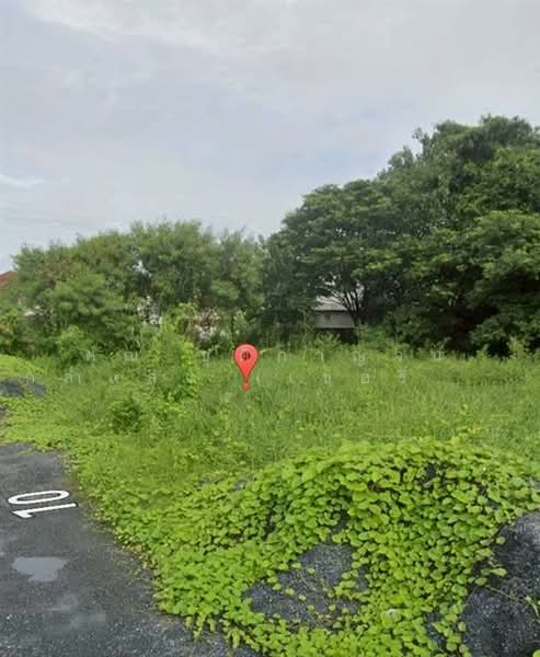 ที่ดินเปล่า 80 ตร.ว. ที่ดิน ซอยพัฒนาชุมชน10 บางพลี สมุทรปราการ, สมุทรปราการ, ถนนศรีนครินทร์, บางแก้ว, บางพลี, สมุทรปราการ, 320 ตร.ม., ที่ดิน ขาย, โดย คุณ ชุติกาญจน์ กล่ำแสง (เชอรี่), 500206090 - DDproperty.com