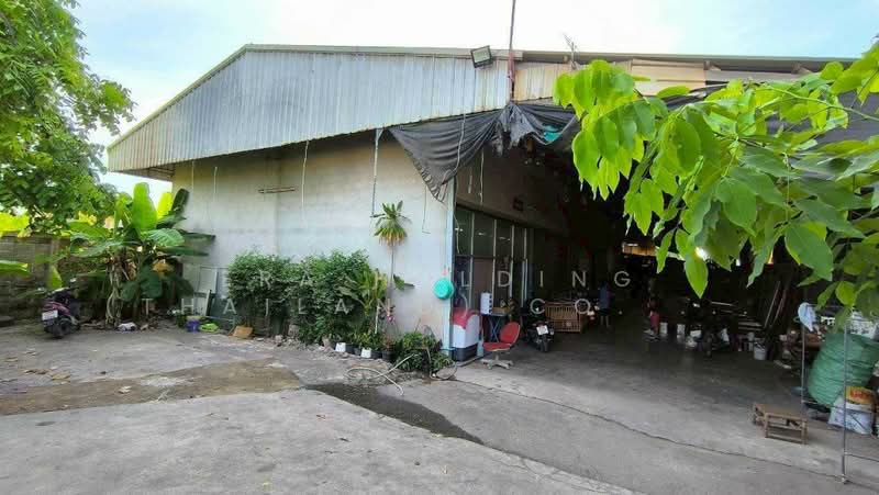ซอยลาซาล 52 แบริ่ง 39, กรุงเทพ, บางนา, บางนา, กรุงเทพ, 300 ตร.ม., โกดัง-โรงงาน ขาย, โดย ERA Holding (Thailand) Co., Ltd., 500206203 - DDproperty.com