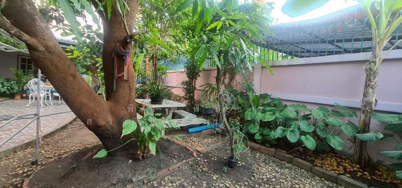 ไวท์วิลล่า2, Bangkok, บรมราชชนนี, Sala Thammasop, Thawi Watthana, Bangkok, 3 Bedrooms, 100 sqm, Townhouse For Sale, by พิมพ์พิชชา สายชลประสิทธิ์, 500206322 - DDproperty.com