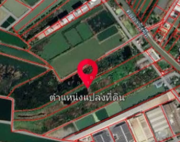 ที่ดินบางปะกง ฉะเชิงเทรา, ฉะเชิงเทรา, พิมพา, บางปะกง, ฉะเชิงเทรา, 25,544 ตร.ม., ที่ดิน ขาย, โดย The Best Property ซายน์, 500206395 - DDproperty.com