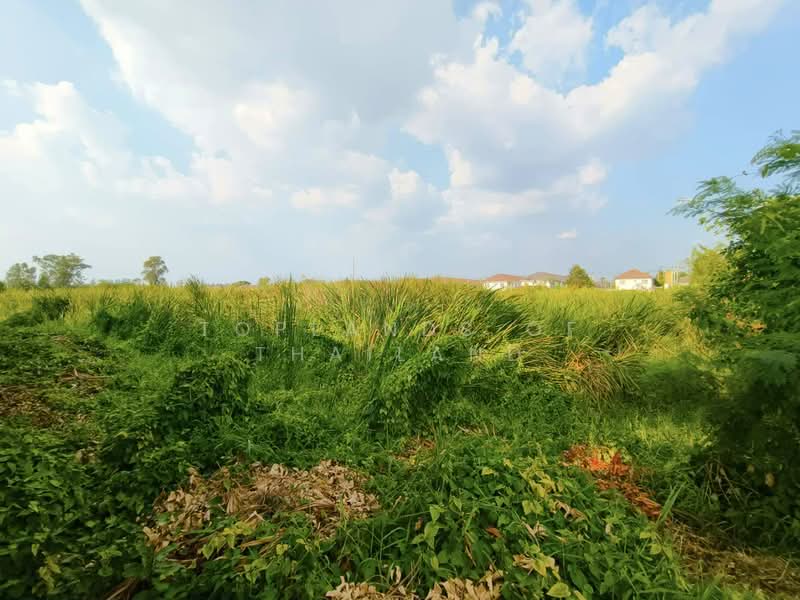 ขาย ที่ดิน หนามแดง-บางพลี อ.เมืองสมุทรปราการ (ใกล้ทางด่วน Motorway) เนื้อที่ 4 - 12 ไร่ ถนน 12 m., Samut Prakan, หนามแดง-บางพลี, Bangphli Yai, Bang Plee, Samut Prakan, , 46,296 sqm, Land For Sale, by TopLands of Thailand, 500206404 - DDproperty.com