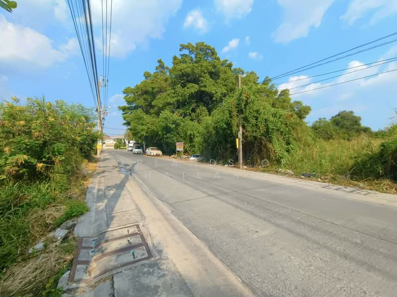 ขาย ที่ดิน หนามแดง-บางพลี อ.เมืองสมุทรปราการ (ใกล้ทางด่วน Motorway) เนื้อที่ 4 - 12 ไร่ ถนน 12 m., Samut Prakan, หนามแดง-บางพลี, Bangphli Yai, Bang Plee, Samut Prakan, , 46,296 sqm, Land For Sale, by TopLands of Thailand, 500206404 - DDproperty.com