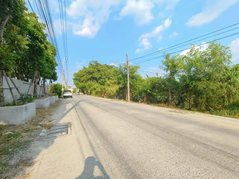 ขาย ที่ดิน หนามแดง-บางพลี อ.เมืองสมุทรปราการ (ใกล้ทางด่วน Motorway) เนื้อที่ 4 - 12 ไร่ ถนน 12 m., สมุทรปราการ, หนามแดง-บางพลี, บางพลีใหญ่, บางพลี, สมุทรปราการ, 46,296 ตร.ม., ที่ดิน ขาย, โดย TopLands of Thailand, 500206404 - DDproperty.com