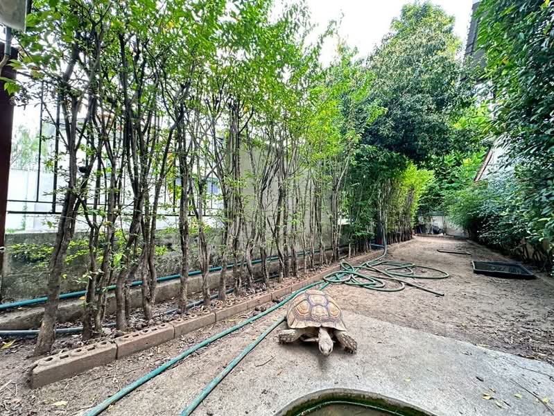 ศุภาลัย ออร์คิดปาร์ค 2 Supalai Orchid Park 2, กรุงเทพ, บางหว้า, ภาษีเจริญ, กรุงเทพ, 460 ตร.ม., บ้านเดี่ยว ขาย, โดย คุณ ณิชารดา ทับทิม (เคท), 500206416 - DDproperty.com