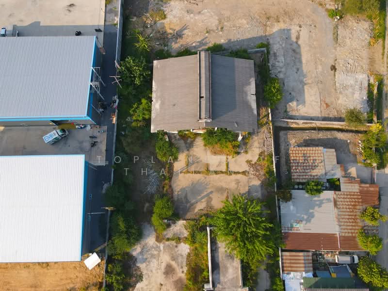 ขาย ที่ดิน หนามแดง-บางพลี อ.เมืองสมุทรปราการ (ใกล้ Motorway) เนื้อที่ 2 ไร่ เหมาะทำการค้า คลังสินค้า, สมุทรปราการ, หนามแดง-บางพลี, บางแก้ว, บางพลี, สมุทรปราการ, 3,208 ตร.ม., ที่ดิน ขาย, โดย TopLands of Thailand, 500206430 - DDproperty.com