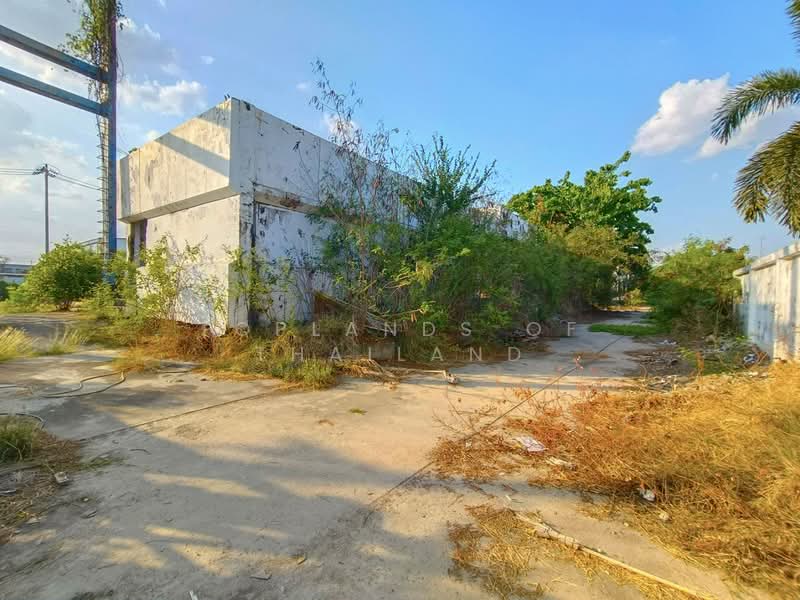 ขาย ที่ดิน หนามแดง-บางพลี อ.เมืองสมุทรปราการ (ใกล้ Motorway) เนื้อที่ 2 ไร่ เหมาะทำการค้า คลังสินค้า, สมุทรปราการ, หนามแดง-บางพลี, บางแก้ว, บางพลี, สมุทรปราการ, 3,208 ตร.ม., ที่ดิน ขาย, โดย TopLands of Thailand, 500206430 - DDproperty.com