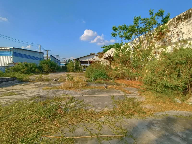 ขาย ที่ดิน หนามแดง-บางพลี อ.เมืองสมุทรปราการ (ใกล้ Motorway) เนื้อที่ 2 ไร่ เหมาะทำการค้า คลังสินค้า, สมุทรปราการ, หนามแดง-บางพลี, บางแก้ว, บางพลี, สมุทรปราการ, 3,208 ตร.ม., ที่ดิน ขาย, โดย TopLands of Thailand, 500206430 - DDproperty.com