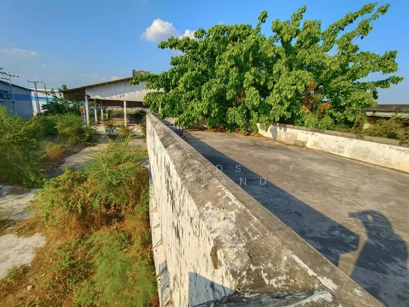 ขาย ที่ดิน หนามแดง-บางพลี อ.เมืองสมุทรปราการ (ใกล้ Motorway) เนื้อที่ 2 ไร่ เหมาะทำการค้า คลังสินค้า, สมุทรปราการ, หนามแดง-บางพลี, บางแก้ว, บางพลี, สมุทรปราการ, 3,208 ตร.ม., ที่ดิน ขาย, โดย TopLands of Thailand, 500206430 - DDproperty.com