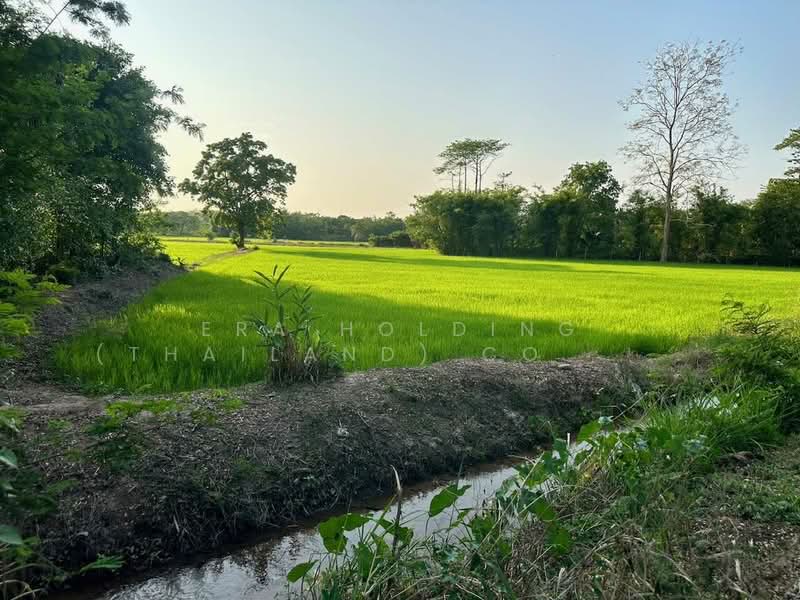 ทำเลดี ใกล้เมืองขอนแก่น, Khon Kaen, Sila, Muang Khon Kaen, Khon Kaen, , 3,200 sqm, Land For Sale, by ERA Holding (Thailand) Co., Ltd., 500206458 - DDproperty.com