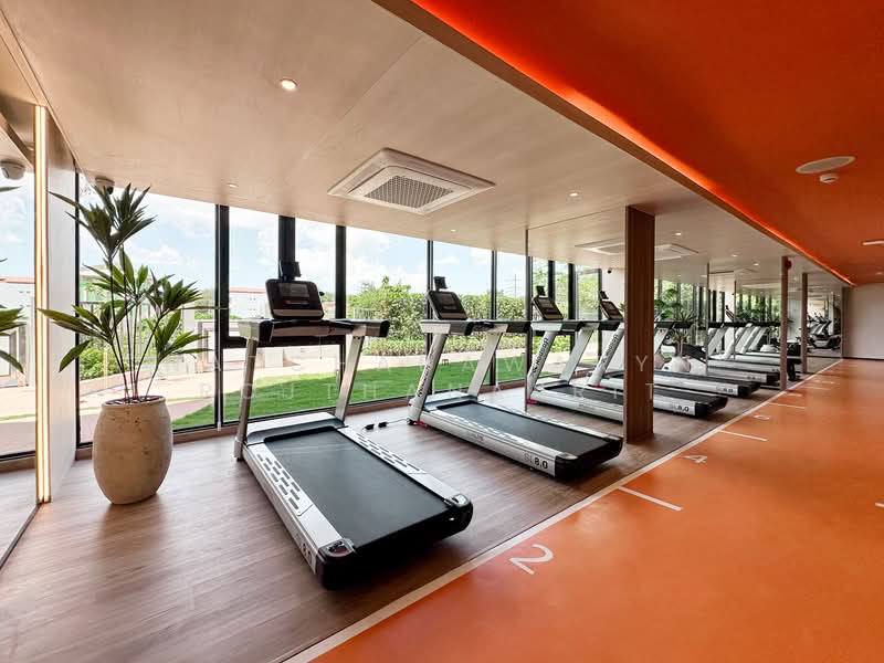 The Base Bukit Phuket : เดอะ เบส บูกิต, ภูเก็ต, 12 ถ.วิชิตสงคราม, วิชิต, เมืองภูเก็ต, ภูเก็ต, 30 ตร.ม., คอนโด ขาย, โดย Natchadawaryn Rojthanakrit, 500206499 - DDproperty.com