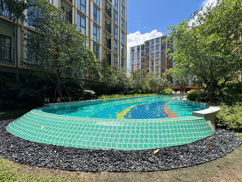 The Base Rise, Phuket, Wichit, Muang Phuket, Phuket, 1 Bedroom, 31 sqm, Condo For Sale, by Natchadawaryn Rojthanakrit, 500206508 - DDproperty.com