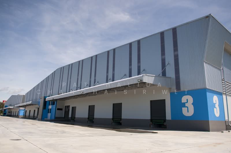 Factory / Warehouse for Rent 2,400 - 10,120 sq.m. | Bangna Trad, Chachoengsao, Chachoengsao, Bang Samak, Bang Pakong, Chachoengsao, , 5,060 sqm, Warehouse/Factory For Rent, by Patchalida Chanchaisiriwet, 500206555 - DDproperty.com