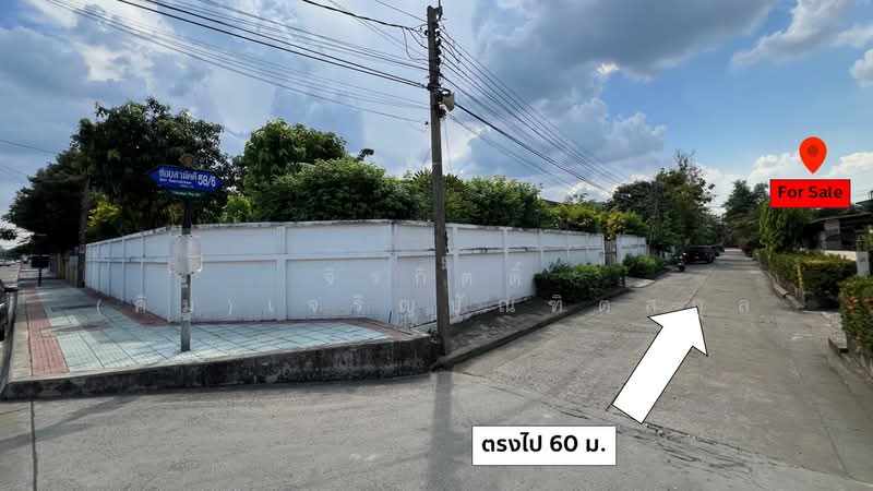 ที่ดินสวยแถมบ้าน ซอยสามัคคี 58/6 146 ตรว. ใกล้ประปานครหลวง ม.ธุรกิจบัณฑิตย์, นนทบุรี, สามัคคี, ท่าทราย, เมืองนนทบุรี, นนทบุรี, 584 ตร.ม., ที่ดิน ขาย, โดย จิรกิตติ์ (คิม)เจริญบัณฑิตสกุล, 500206579 - DDproperty.com