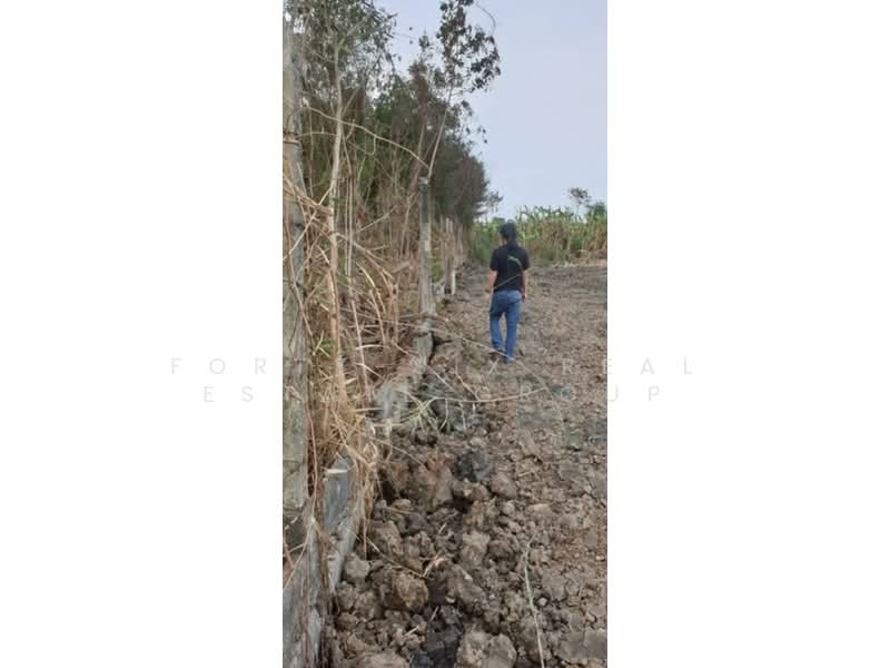 ให้เช่าที่ดินแปลงงาม สภาพแวดล้อมดี เข้า ออกได้หลายทาง ที่ดินถมแล้ว 3 แปลง, สมุทรปราการ, บางพลีใหญ่, บางพลี, สมุทรปราการ, 1,152 ตร.ม., ที่ดิน ให้เช่า, โดย Forty-Six Real Estate Group, 500206701 - DDproperty.com