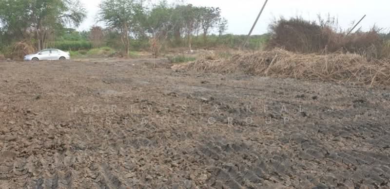 ให้เช่าที่ดินแปลงงาม สภาพแวดล้อมดี เข้า ออกได้หลายทาง ที่ดินถมแล้ว 3 แปลง, Samut Prakan, Bangphli Yai, Bang Plee, Samut Prakan, , 1,152 sqm, Land For Rent, by Forty-Six Real Estate Group, 500206701 - DDproperty.com