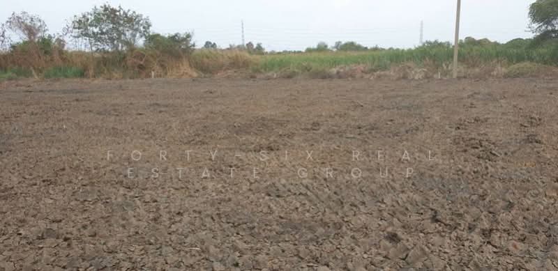 ให้เช่าที่ดินแปลงงาม สภาพแวดล้อมดี เข้า ออกได้หลายทาง ที่ดินถมแล้ว 3 แปลง, Samut Prakan, Bangphli Yai, Bang Plee, Samut Prakan, , 1,152 sqm, Land For Rent, by Forty-Six Real Estate Group, 500206701 - DDproperty.com