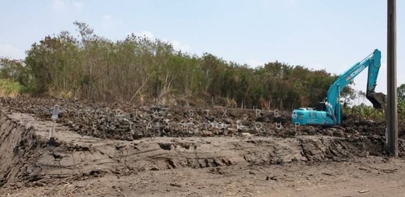 ให้เช่าที่ดินแปลงงาม สภาพแวดล้อมดี เข้า ออกได้หลายทาง ที่ดินถมแล้ว 3 แปลง, สมุทรปราการ, บางพลีใหญ่, บางพลี, สมุทรปราการ, 1,152 ตร.ม., ที่ดิน ให้เช่า, โดย Forty-Six Real Estate Group, 500206701 - DDproperty.com