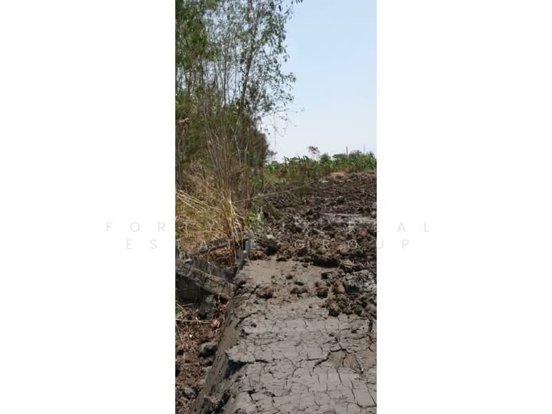 ให้เช่าที่ดินแปลงงาม สภาพแวดล้อมดี เข้า ออกได้หลายทาง ที่ดินถมแล้ว 3 แปลง, สมุทรปราการ, บางพลีใหญ่, บางพลี, สมุทรปราการ, 1,152 ตร.ม., ที่ดิน ให้เช่า, โดย Forty-Six Real Estate Group, 500206701 - DDproperty.com