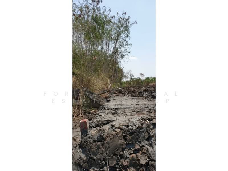 ให้เช่าที่ดินแปลงงาม สภาพแวดล้อมดี เข้า ออกได้หลายทาง ที่ดินถมแล้ว 3 แปลง, สมุทรปราการ, บางพลีใหญ่, บางพลี, สมุทรปราการ, 1,152 ตร.ม., ที่ดิน ให้เช่า, โดย Forty-Six Real Estate Group, 500206701 - DDproperty.com