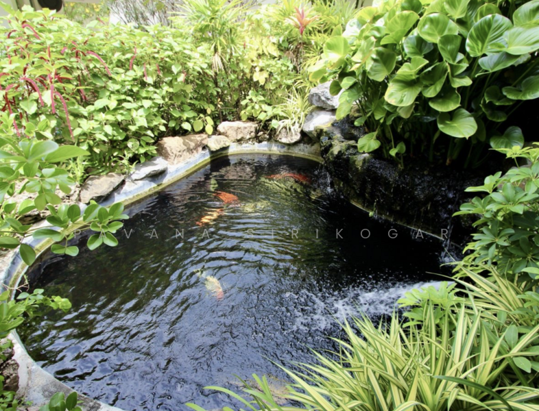 ขาย - วิลล่า 3-ห้องนอน, ประจวบคีรีขันธ์