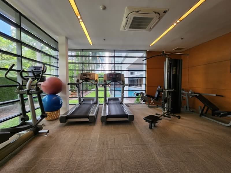 Domus 16, Bangkok, 19 Soi Sukhumvit 16, Khlong Toei, Khlong Toei, Bangkok, 3 Bedrooms, 250 sqm, Condo For Rent, by Bangkok Residential, 500206725 - DDproperty.com