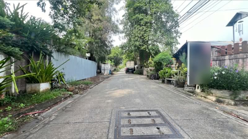 ขาย - ที่ดินพระประแดง สมุทรปราการ, สมุทรปราการ