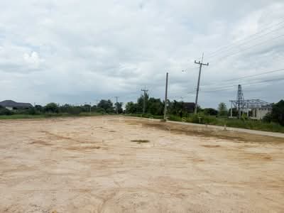 ขาย - ที่ดินเหมืองง่า ลำพูน, ลำพูน