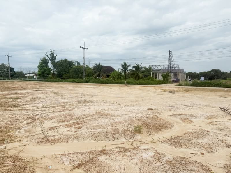 ที่ดินเหมืองง่า ลำพูน, ลำพูน, เหมืองง่า, เมืองลำพูน, ลำพูน, 800 ตร.ม., ที่ดิน ขาย, โดย The Best Property บอย, 500206755 - DDproperty.com