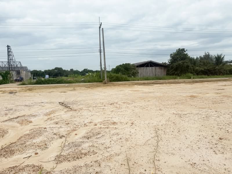 ที่ดินเหมืองง่า ลำพูน, ลำพูน, เหมืองง่า, เมืองลำพูน, ลำพูน, 800 ตร.ม., ที่ดิน ขาย, โดย The Best Property บอย, 500206755 - DDproperty.com