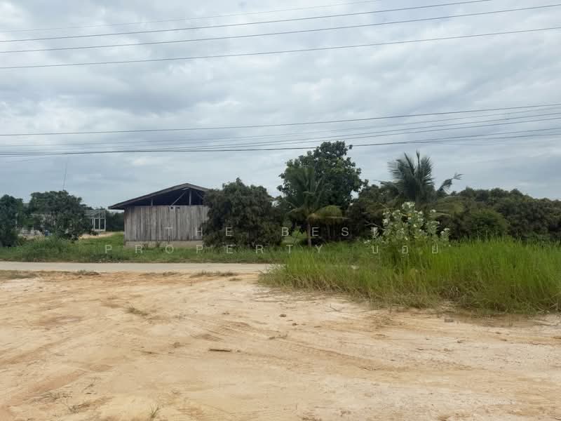 ที่ดินเหมืองง่า ลำพูน, Lamphun, Muang Nga, Muang Lamphun, Lamphun, , 800 sqm, Land For Sale, by The Best Property บอย, 500206755 - DDproperty.com