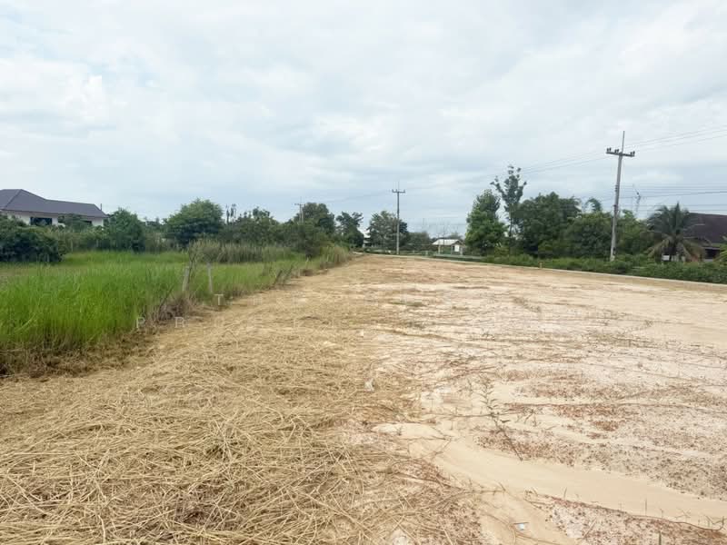 ที่ดินเหมืองง่า ลำพูน, Lamphun, Muang Nga, Muang Lamphun, Lamphun, , 800 sqm, Land For Sale, by The Best Property บอย, 500206755 - DDproperty.com