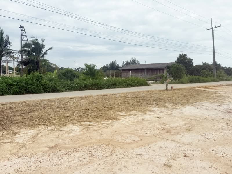 ที่ดินเหมืองง่า ลำพูน, Lamphun, Muang Nga, Muang Lamphun, Lamphun, , 800 sqm, Land For Sale, by The Best Property บอย, 500206755 - DDproperty.com