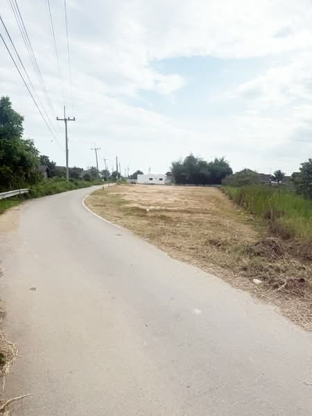 ที่ดินเหมืองง่า ลำพูน, ลำพูน, เหมืองง่า, เมืองลำพูน, ลำพูน, 800 ตร.ม., ที่ดิน ขาย, โดย The Best Property บอย, 500206755 - DDproperty.com