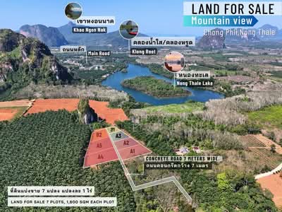 ขาย - ที่ดินบรรยากาศสงบ ช่องพลี กระบี่, Krabi, กระบี่