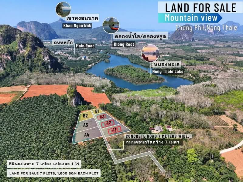 Peaceful Living Land Chong Phli Krabi, กระบี่, Krabi, 81000, Ao Nang, Muang Krabi, Krabi, , 1,600 sqm, Land For Sale, by Adchara Voeten, 500206837 - DDproperty.com