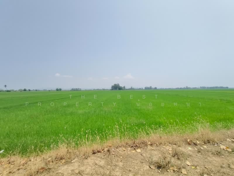 ที่ดินพิชัย อุตรดิตถ์, Uttaradit, Ban Dara, Phichai, Uttaradit, , 13,008 sqm, Land For Sale, by The Best Property น้อยหน่า, 500206848 - DDproperty.com