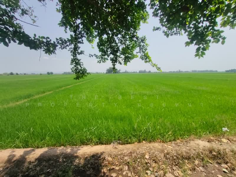 ที่ดินพิชัย อุตรดิตถ์, Uttaradit, Ban Dara, Phichai, Uttaradit, , 13,008 sqm, Land For Sale, by The Best Property น้อยหน่า, 500206848 - DDproperty.com