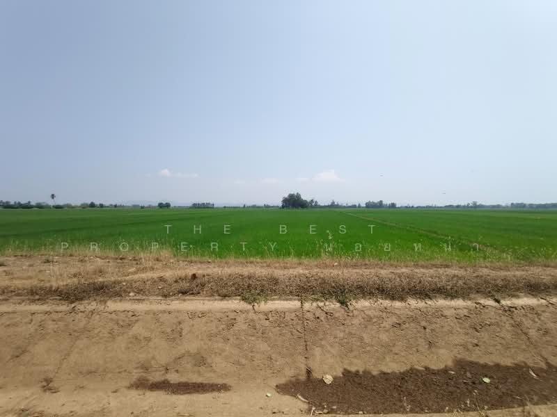 ที่ดินพิชัย อุตรดิตถ์, Uttaradit, Ban Dara, Phichai, Uttaradit, , 13,008 sqm, Land For Sale, by The Best Property น้อยหน่า, 500206848 - DDproperty.com