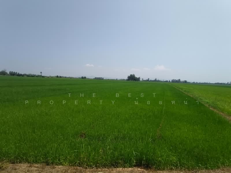 ที่ดินพิชัย อุตรดิตถ์, Uttaradit, Ban Dara, Phichai, Uttaradit, , 13,008 sqm, Land For Sale, by The Best Property น้อยหน่า, 500206848 - DDproperty.com