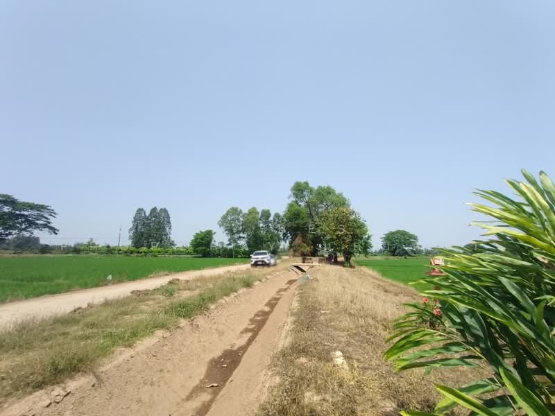 ที่ดินพิชัย อุตรดิตถ์, Uttaradit, Ban Dara, Phichai, Uttaradit, , 13,008 sqm, Land For Sale, by The Best Property น้อยหน่า, 500206848 - DDproperty.com