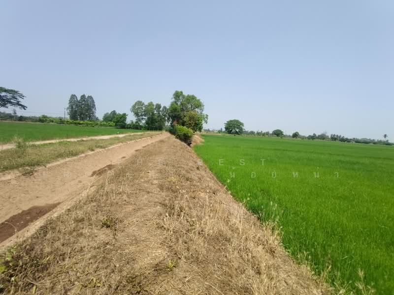 ที่ดินพิชัย อุตรดิตถ์, Uttaradit, Ban Dara, Phichai, Uttaradit, , 13,008 sqm, Land For Sale, by The Best Property น้อยหน่า, 500206848 - DDproperty.com