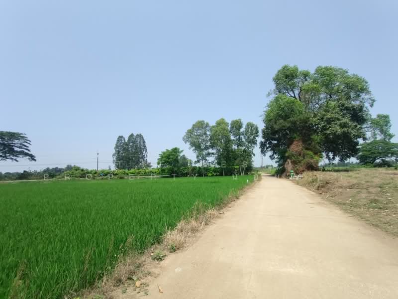 ที่ดินพิชัย อุตรดิตถ์, Uttaradit, Ban Dara, Phichai, Uttaradit, , 13,008 sqm, Land For Sale, by The Best Property น้อยหน่า, 500206848 - DDproperty.com